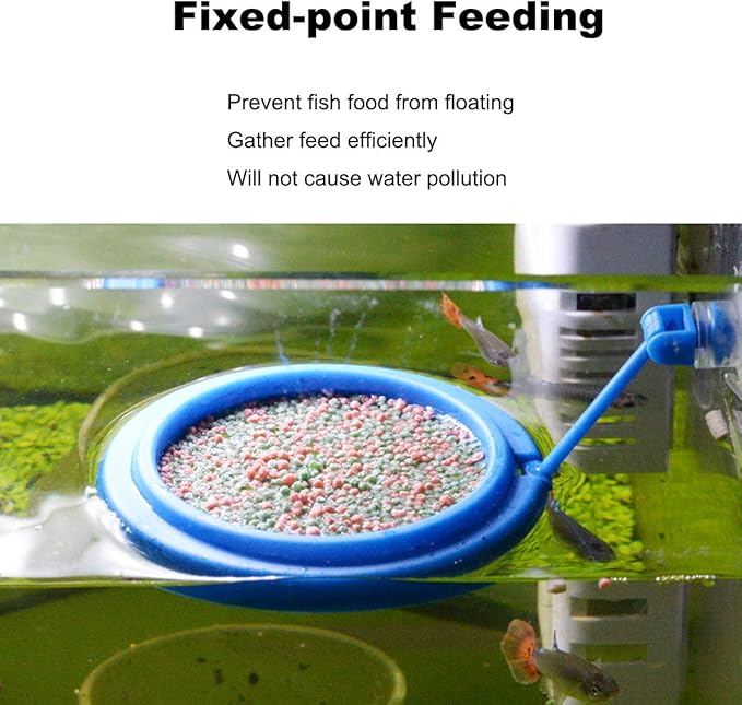 2PCS Fish Feeding Ring Round and Square Floating Food Feeder Circle with Suction Cup for Aquarium Fish Tank