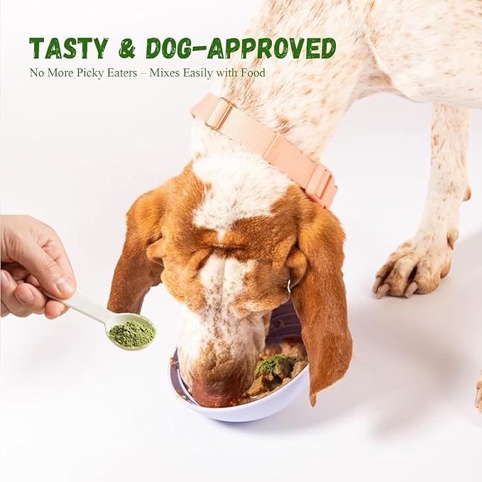 Dog Dental Powder, 200g Dental Powder for Dogs Teeth Cleaning and Breath Fresh, Dog Teeth Cleaning Powder with Natural Plants Ingredients and Postbiotics