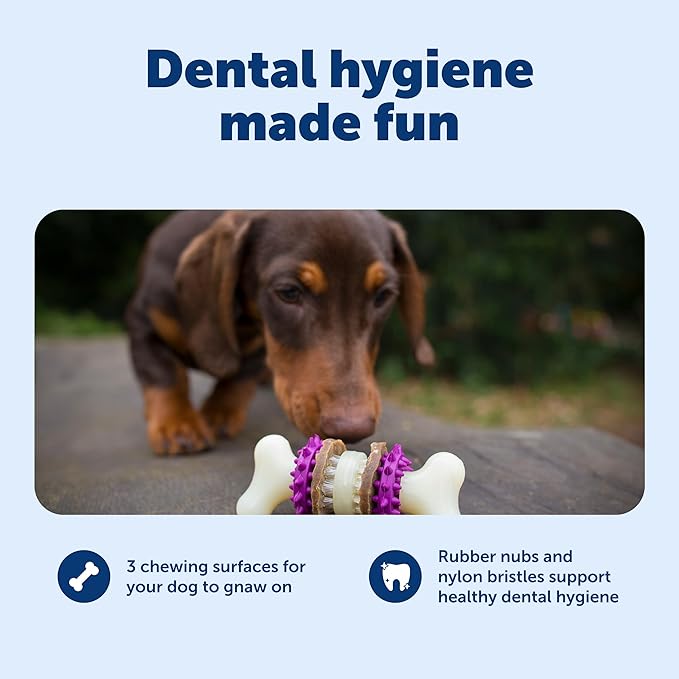 PetSafe Busy Buddy Bristle Bone Dog Chew Toy - Treat Holding Toothbrush Toy for Hard Chewers - Helps Keep Your Dog's Teeth Clean - Durable, Interactive - Purple, Extra Small