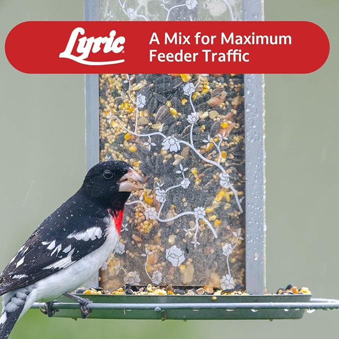 Lyric Supreme Wild Bird Seed for Outside Feeders - Wild Bird Food Mix with Nuts & Sunflower Seeds, Attracts Many Beautiful Songbirds, 40 lb Bag