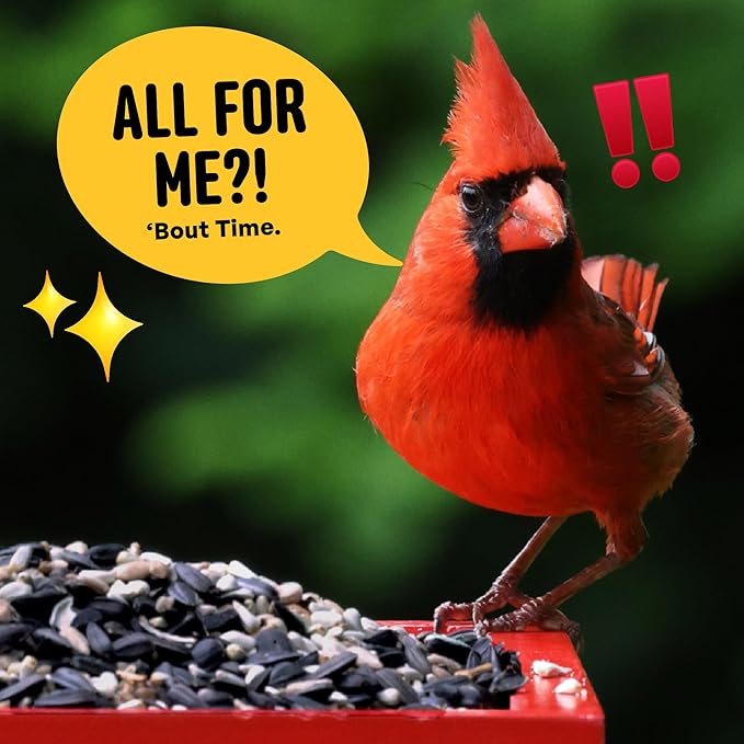 Cool Birds Cardinal & Crew Wild Bird Seed – 10 lb. Black Oil Sunflower, Sunflower Hearts & Safflower Blend for Cardinals, Grosbeaks & Chickadees – Bird Food for Outside Feeders