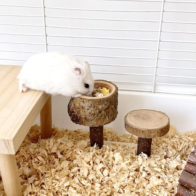 Apple Wood Feeding Bowl for Small Animals, Food Dish for Guinea Pig, Chinchilla Parrots