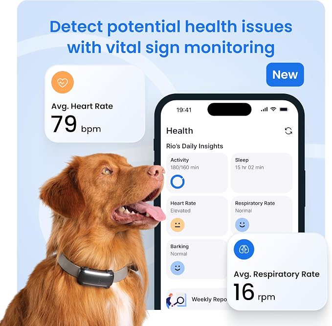 Tractive Smart Dog GPS Tracker with 6 Month Subscription | Live Pet Tracker with Virtual Fence | Vital Signs Monitoring of Heart & Respiratory Rate | Bark Monitoring | Dog Collar Attachment (Black)