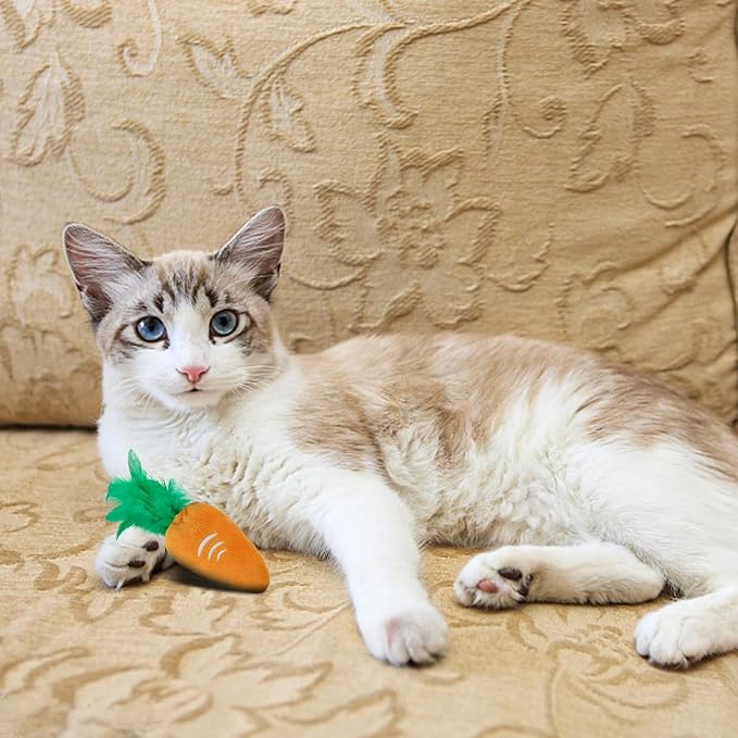 Andiker 2PCS Cat Chew Toys, Cute Pineapple Shape Soft Cat Plush Toys with Smooth Skin-Friendly Plush Fabric Containing Catnip Entertaining Interactive Cats Toy for Indoor Cats and Kitten (Orange)