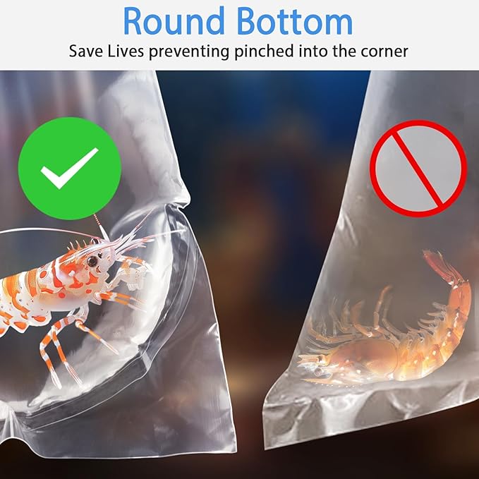Fish Bags 100 Packs, 4x10" Round Bottom Double Seal Clear Live Fishes Bags Fish Transport Container for Small Fishes and Shrimp (Ultimate 3 mil, 100 Pack)