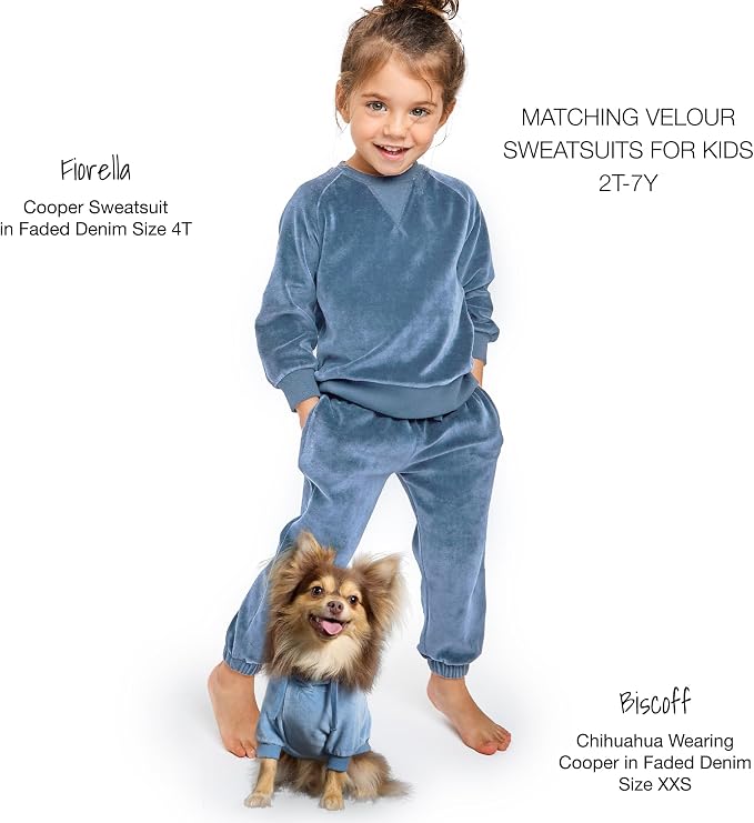 Pet Passion Cooper II Organic Cotton Velour Dog Hoodie Pet Coat for Small, Medium and Large Dogs, Faded Denim, Large (40-60 lbs)