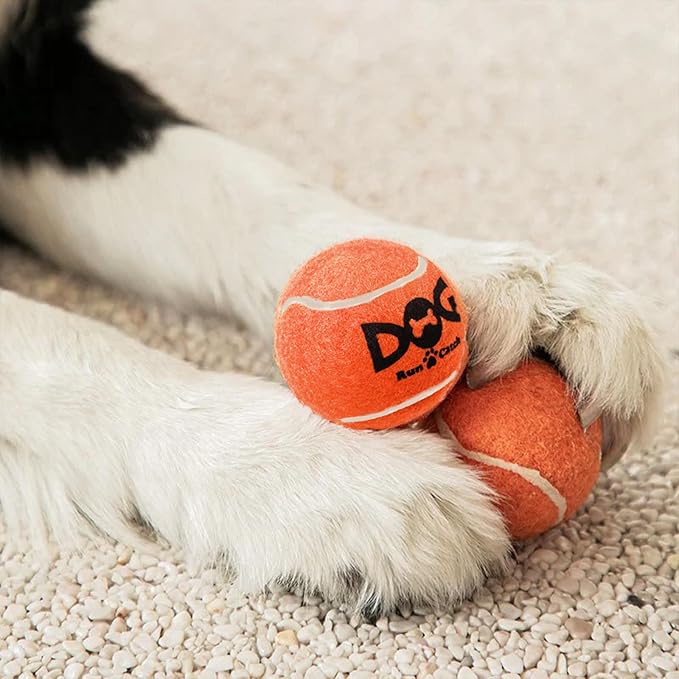 INSUM Small Tennis Balls for Dogs - 6 Pack 2.0" Squeaky Dog Balls for Small Breed, SGS Certified Non-Toxic, Interactive Fetch Toys, Perfect for Outdoor & Indoor Play
