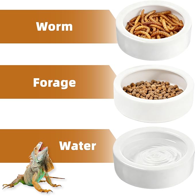Escape-Proof Reptile Food Dish Bowl, Ceramic Reptile Feeding Dish & Small Animal Bowl for Lizard, Leopard Gecko, Hermit Crab, Hamster, Anti Escape Live Food & Water Dish (3x1in) 2PCS