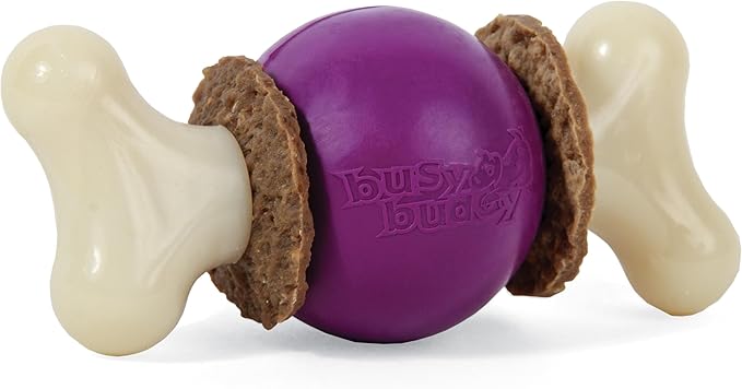 PetSafe Busy Buddy Bouncy Bone, Treat Holding Dog Toy, Small, Best for Dogs Up to 10 Lb.