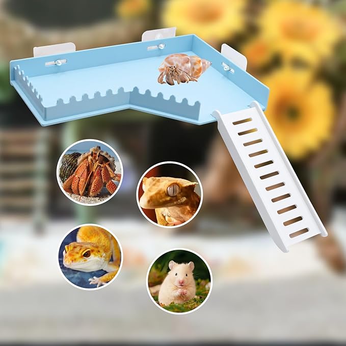 No-Drill Climbing Platform with Ramp, Hermit Crab Climbing Wall & Hideout, Multi-Level Platform with Ladder, No-Tools Mounting for Geckos, Small Lizards, Hamsters
