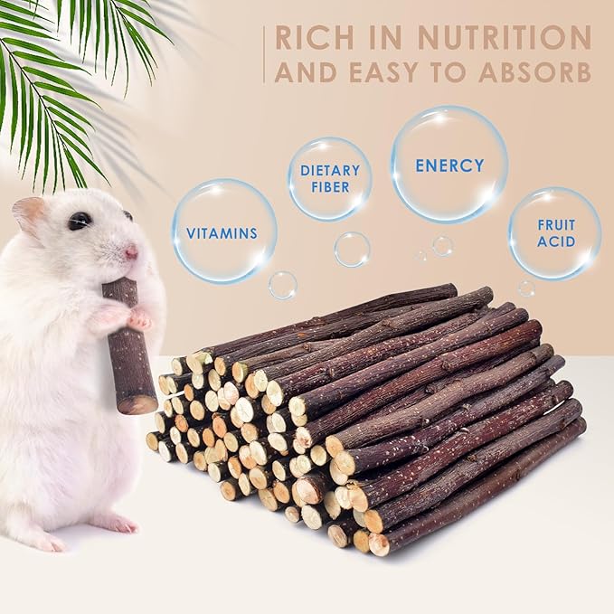 Bissap Apple Sticks for Rabbits, Natural Bunny Chew Toys and Treats for Chinchilla Guinea Pig Hamster Gerbil Small Animals Pet Apple Wood Stick Toys Teeth Grinding (460g/1lb)