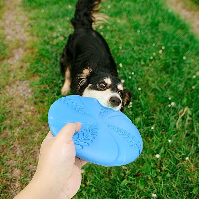 Nobleza Dog Flying Disc 2 Pack，8 in Flexible Floatable Dog Disc Toy for Long-Distance Flies and Floats， Lightweight Soft Flying Discs Toy for Small Medium Large Dogs to Fetch & Catch, Blue & Green