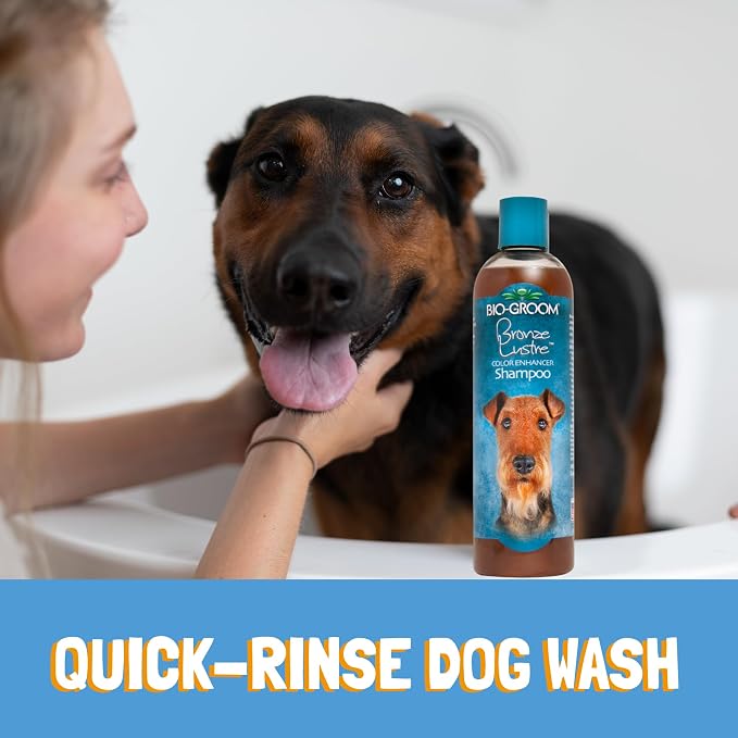 Bio-Groom Bronze Lustre Dog Shampoo – Color Enhancing Pet Shampoo, Dog Bathing Supplies, Puppy Wash, Dog Grooming Supplies, Cruelty-Free, Made in USA, Coat Brightener Shampoo – 12 fl oz 1-Pack