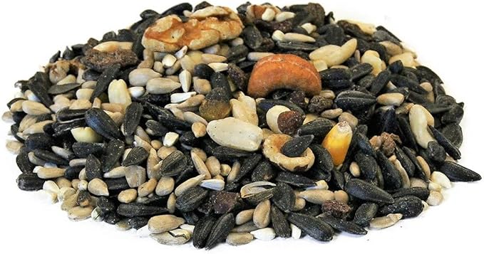 Backyard Seeds Berries 'N Fruit Bird Seed Mix 20lbs - Premium Blend with Dried Fruit & Berries, Large Bag of Wild Bird Food