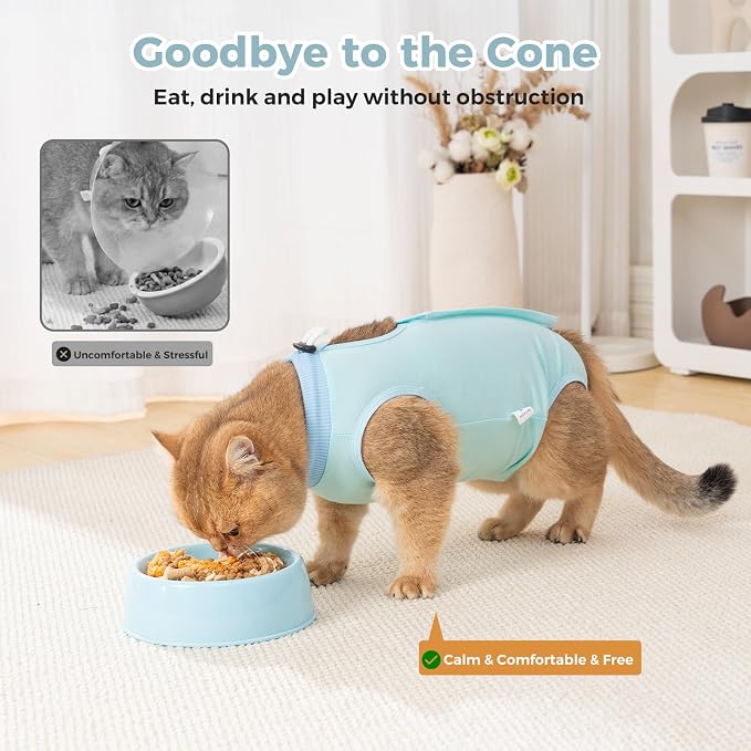 Avont Cat Recovery Suit for Surgery, Breathable Anti-Licking Onesie for Kittens, Surgical Post-Operative Protective Bodysuit, Comfortable Alternative to E-Collar -Mint (S)