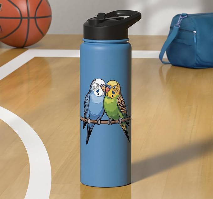 Parakeet Couple Cute Budgie Bird Lovers Art Stainless Steel Insulated Water Bottle