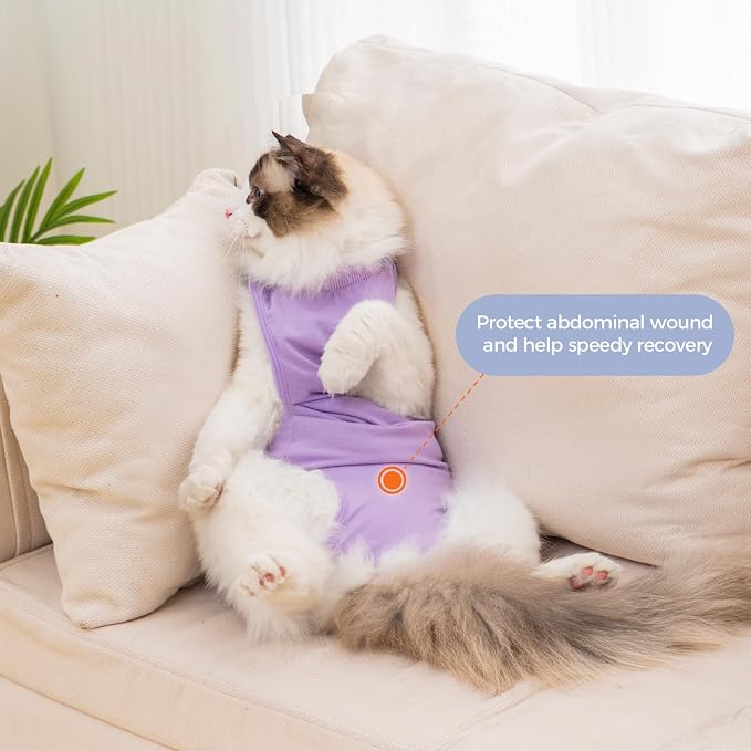 Avont Cat Recovery Suit, Post-Surgery Protective Vest, Purple M | Breathable & comfortable cat onesie for cats after surgery female. Soft alternative to cone. Machine washable