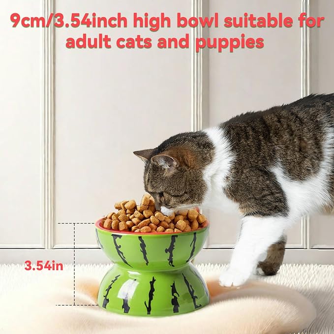 Hamiledyi Ceramic Raised Cat Bowl 5In Elevated Wide Cat Bowl for Food and Water Anti Vomiting Tilted Pet Feeder Dish for Indoor Cats and Small Dogs(Watermelon)