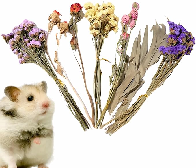 Natural Dried Flower Hamster Sprays for Hamster Cages, Decorative Floral Hamster Bedding Decors, Small Animal Houses & Habitats Hamster Cage Accessories