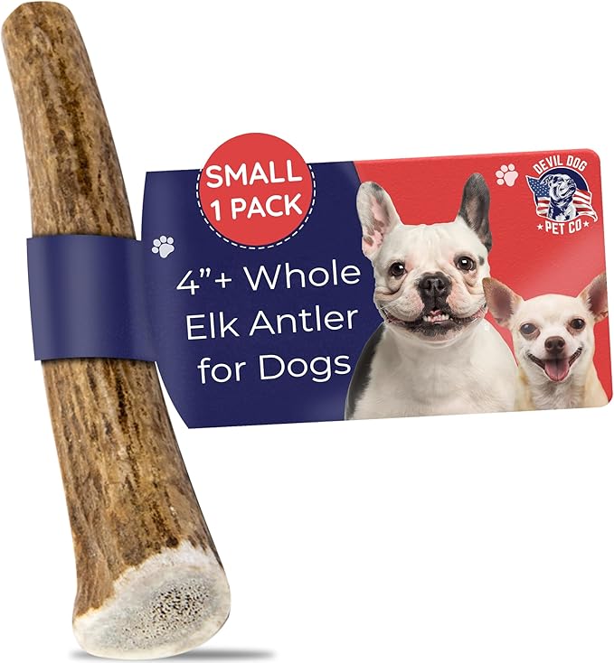 Devil Dog Pet Co. Elk Antlers for Dogs, Natural Dog Chew for Aggressive Chewers - Long Lasting and Odor Free - USA Sourced - Cleaner Teeth, Anxiety & Boredom Relief - Whole Small 4"+ - Antler Bone