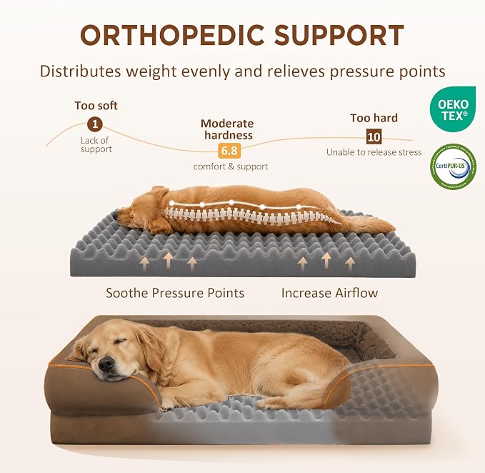 Comfort Expression Orthopedic Dog Bed for Extra Large Dogs with Bolster | Waterproof Dog Couch Bed with Washable Cover & Non-Slip Bottom, Supportive Egg Crate Foam Big Dog Bed, 53x42Inch