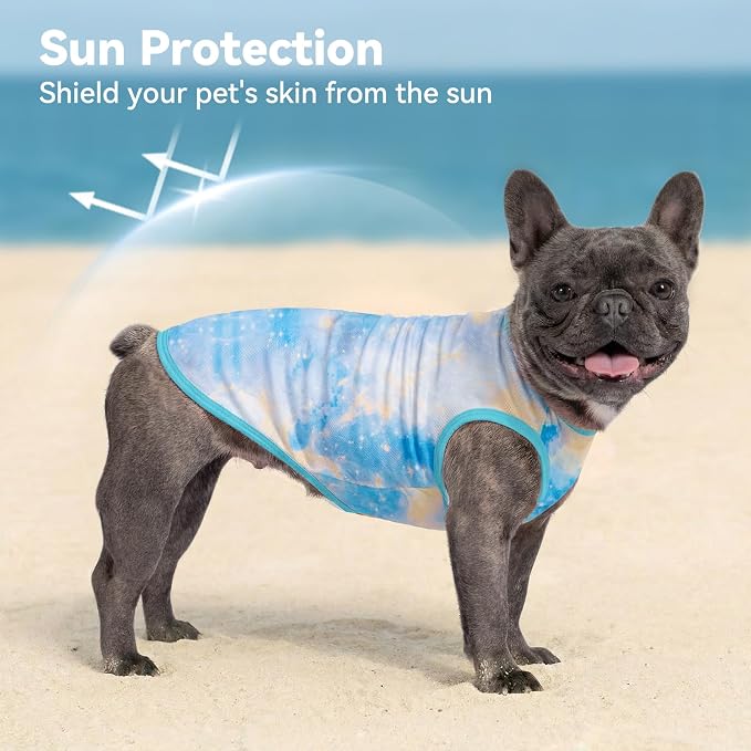 cyeollo 2pack Dog Cooling Shirt, Breathable Sleeveless Summer Clothes for Dogs, Intant Cool Dog T Shirts for Small Dogs, Blue Sky S