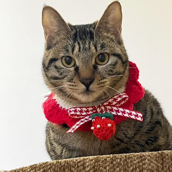 Elegant Lace Cat Collar with Cute Bow,Cat Collar with Bow Tie,Pet Lace Bib Collar with Cute Bow,Cat Princess Costumes,Red,1 Piece ﻿