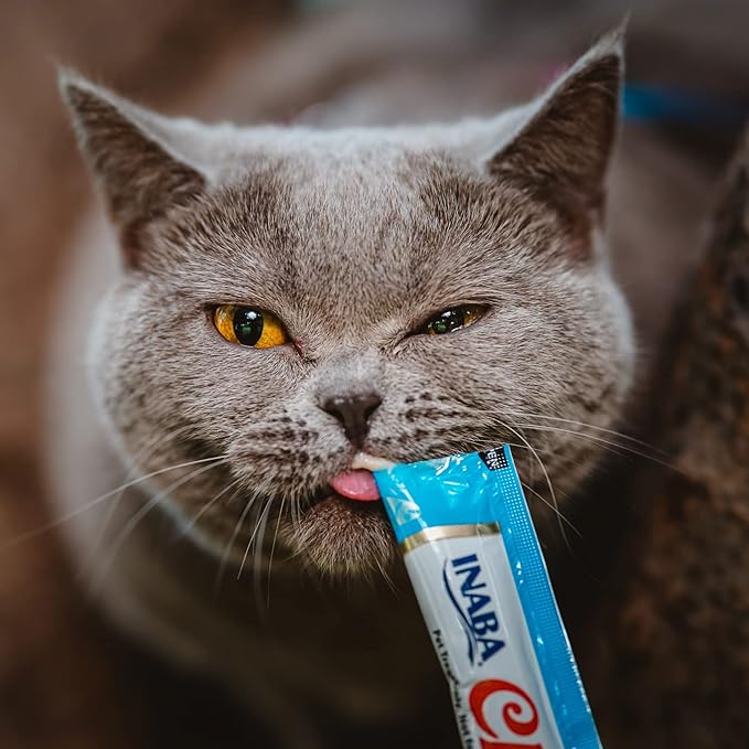 INABA Churu Cat Treats, Lickable, Squeezable Creamy Purée Cat Treat with Green Tea Extract & Taurine, 0.5 Ounces Each Tube, 24 Tubes (4 per Pack), Chicken Recipe