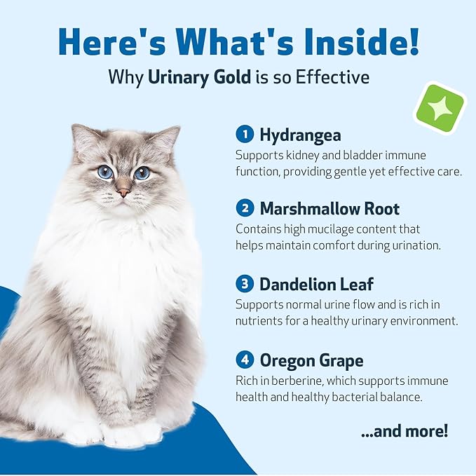 Pet Wellbeing Urinary Gold for Cats - Vet-Formulated Multi-Herb Urinary Tract Support - Feline Bladder Health & Urinary System Wellness - Holistic Cat Supplement - 4 fl oz (118 ml)