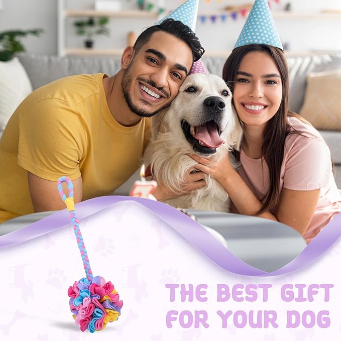 Snuffle Ball Dog Rope Toy, Tug of War Rope Toys for Small Medium Dogs, Interactive Dog Chew Toys Puppy Training Pull Toy for Exercise & Interactive Play Games (Blue)