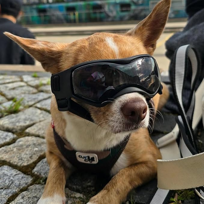 Dog Goggles Small Breed, XS Dog Sunglasses Chihuahua Glasses Anti-UV Eyes Protection for XSmall Pets Tiny Dogs Cats, Black XS