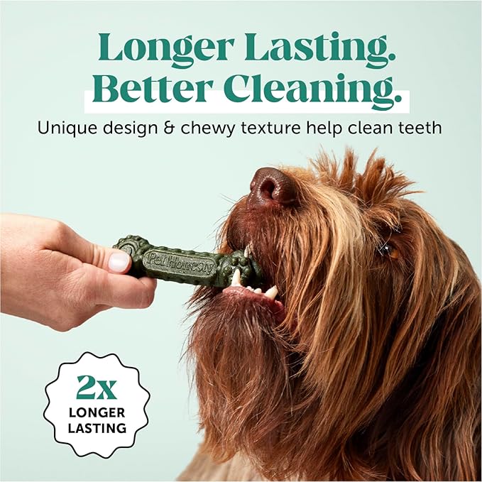 Pet Honesty Brush Buddies All Natural Dog Dental Treats for Dogs – Long Lasting Dental Sticks for Dogs, Teeth Cleaner, Breath Freshener, Plaque & Tartar Remover – Large Sized Dogs (8 Count)
