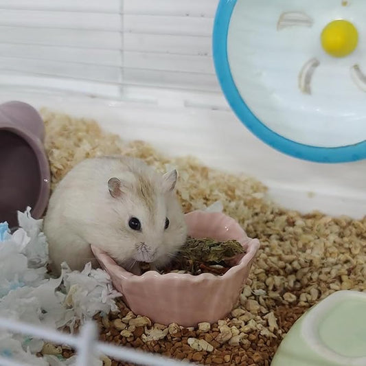 Small Ceramic Pet Hamster Bowl, Easy to Clean Anti Flipping Hamsters Food and Water Bowl, Small Animal Bowls for Dwarf Hamster, Parrots (Blue, s)