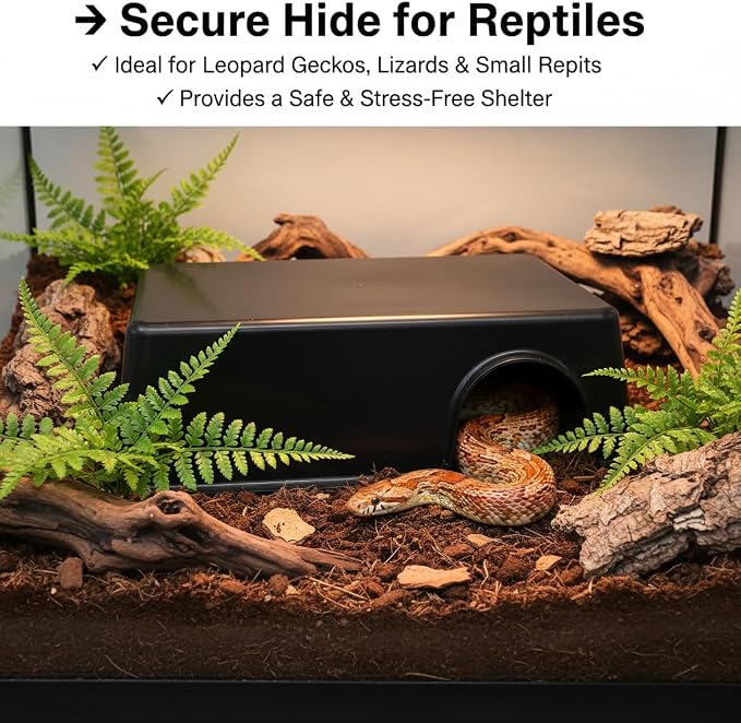 Reptile Hide Box Cave, XL 4 Pcs Snake Hide Feel Secure and Safe, Plastic Hideout for Leopard Gecko, Ball Python, Corn Snake, Lizard, Hamster & Hedgehog