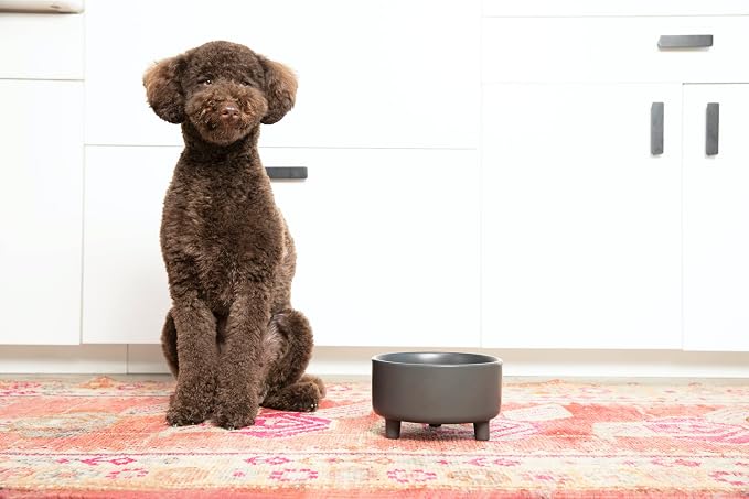 Waggo Uplift Ceramic Dog Bowl for Small Medium and Large Breeds - Heavyweight and Durable Pet Food and Water Dish Crock, Dishwasher Safe, Modern, Elevated Feeder (White, Large)