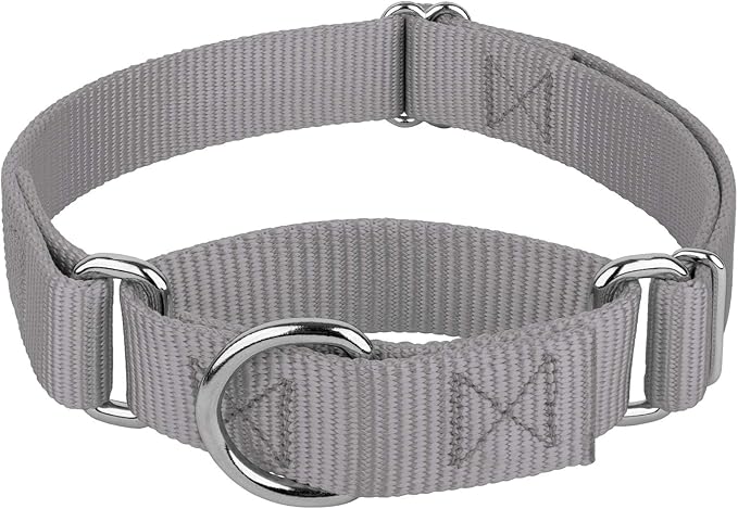 Country Brook Petz - Martingale Dog Collar - Heavy-Duty Training Collar with No Buckle - Service Dog Collar for All Pups - 20 Vibrant Colors (Silver, 3/4 Inch, Small)
