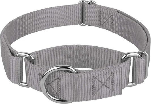 Country Brook Petz - Martingale Dog Collar - Heavy-Duty Training Collar with No Buckle - Service Dog Collar for All Pups - 20 Vibrant Colors (Silver, 3/4 Inch, Small)