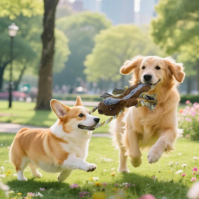 Dog Squeaky Toys, No Stuffing 3-Pack Toys, Rope to Keep Puppy Busy, Perfect for Tug of War Game, Animal Shapes Dog Toys Bundle for Large, Medium Puppies.(Raccon, Honeybadger, Fox)