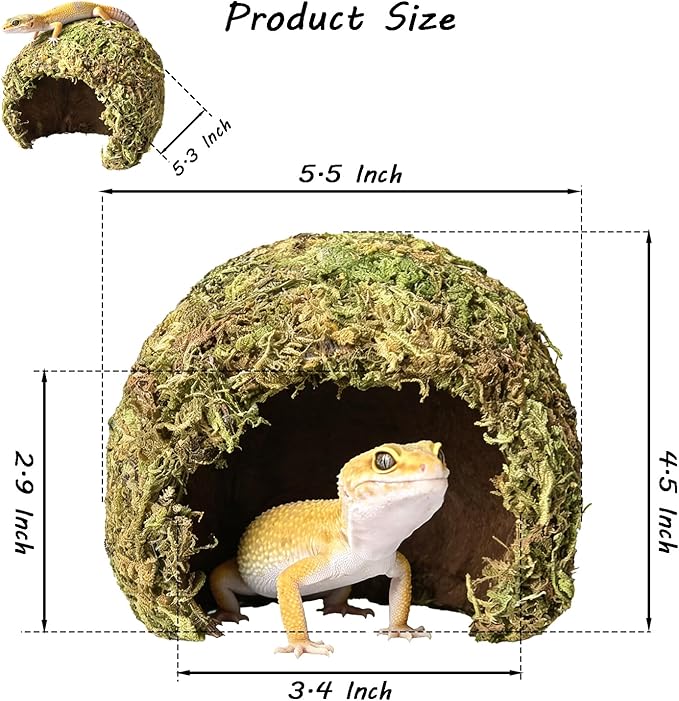Snake Hide & Reptile Cave - Bearded Dragon Accessories & Leopard Gecko Tank Accessories - Coconut Moss Terrarium Decor & Reptile Supplies for Amphibian Habitats