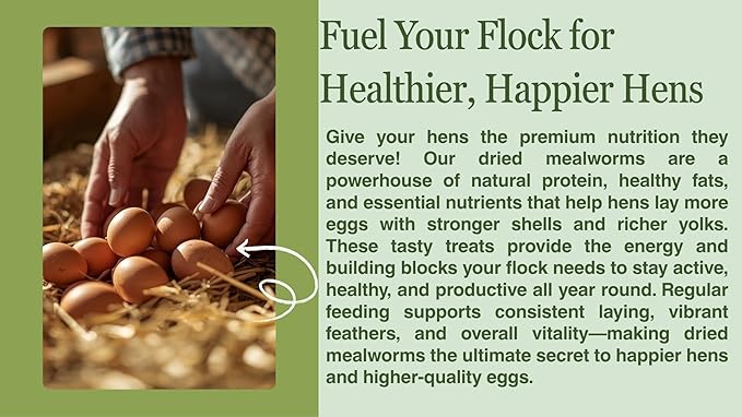 kimoe Non-GMO Bulk Dried Mealworms 10LB Bag for Chickens, Ducks & Wild Birds — 100% Natural High-Protein Feed to Boost Egg Production, Feather Health & Immunity