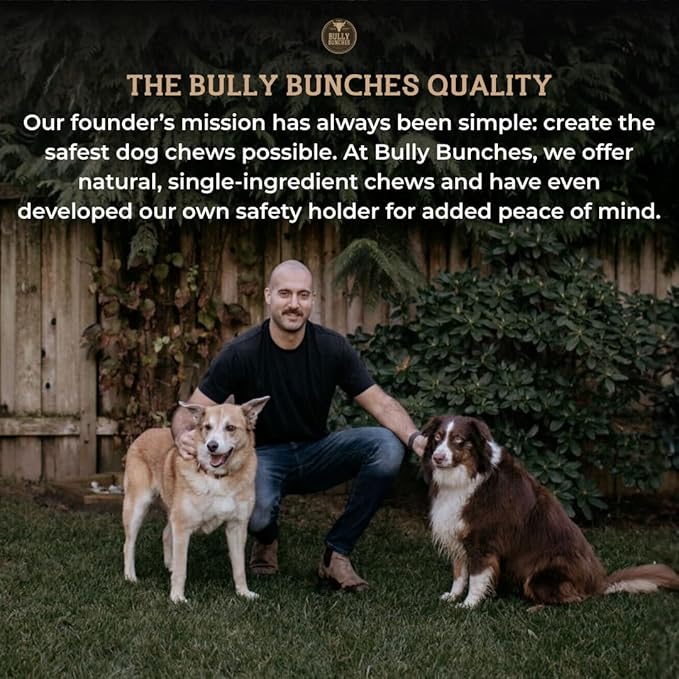 Bully Bunches Large Whole Pig Ears for Dogs | Free Range Oven Baked Pork for All Breeds | All-Natural, Single Ingredient & 100% Digestible Safe Dog Chew (80 Pack)