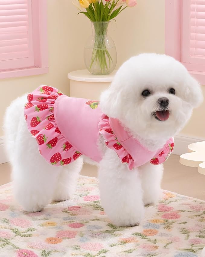 XPUDAC 4 Pack Dog Dresses Cute Printed Puppy Dress for Small Dogs Girl Puppy Clothes Chihuahua Yokie Clothes Doggie Outfits Cat Apparel, XX-Small(Chest-11)