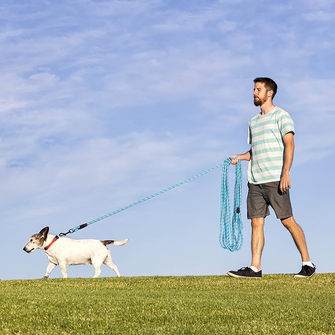 Long Dog Leash for Training 20Ft-Reflective Nylon Rope with Swivel Hook-Recall Agility Lead for Large Small Medium Dogs Outside Walking Hiking-Sky Blue Diam 1/2"