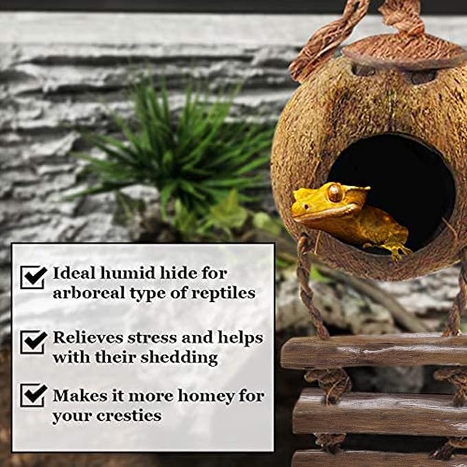 SunGrow Crested Gecko, Snake & Ball Python Coco Hut, Treat & Food Dispenser, Climbing Porch, Hiding, Ideal for Reptiles, Amphibians (with Ladder)