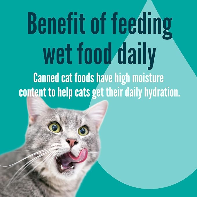 A Strong Heart Split Cup Wet Cat Food, Roasted Turkey Entree - 2.6 oz Split Cups, 20 Servings (Pack of 10), Made in The USA with Real Turkey