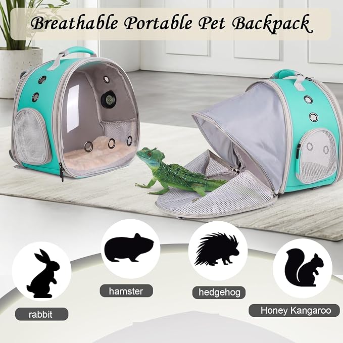 Bearded Dragon Travel Backpack Carrier with Reptile Thermometer and Humidity Gauge Lizard Travel Cage Space Capsule Clear Bubble Window Astronaut Reptile Bag for Ball Python (Green, BE Backpack)