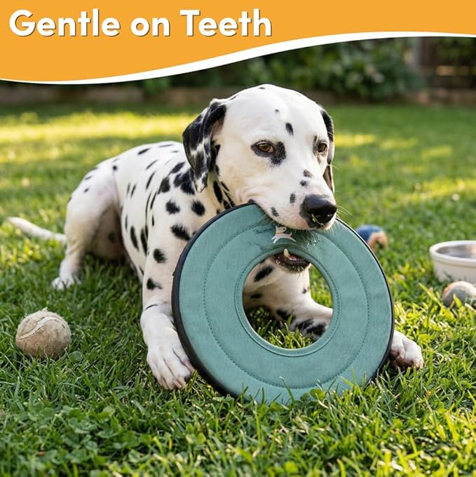 OllyDog Super Flyer, Floating Dog Disc for Water Play – Soft Durable Dog Fetch Toy, Eco-Friendly Recycled Material, Gentle on Teeth, Lightweight Flying Disc for Medium, Large Dogs (Surf, 11")