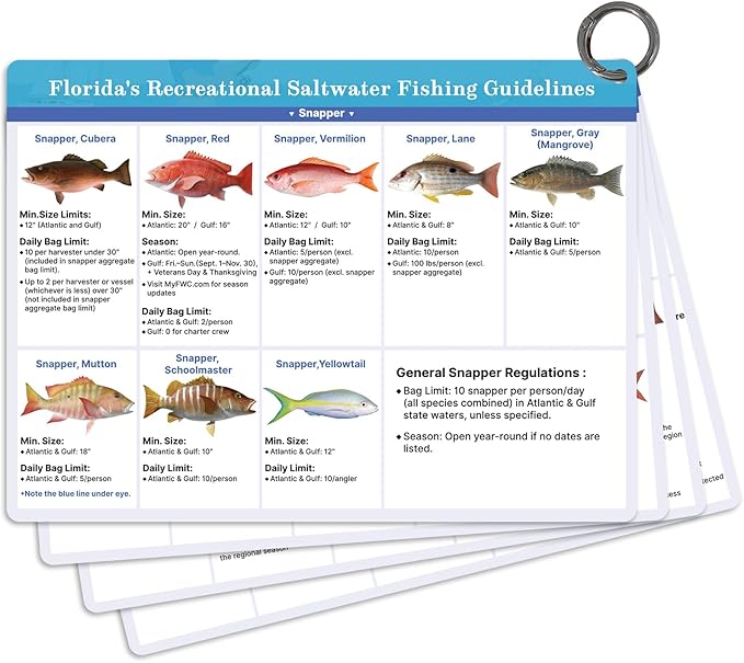 OCQOTAT Florida Saltwater Fish& Shark Identification Set–4 Double-Sided Waterproof Quick-Reference Fishing Guide Cards with FWC Rules,Size Limits&80+ Fish&Sharks in Real Photos| Ring Binding,8.2x6inch