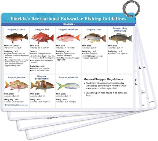 OCQOTAT Florida Saltwater Fish& Shark Identification Set–4 Double-Sided Waterproof Quick-Reference Fishing Guide Cards with FWC Rules,Size Limits&80+ Fish&Sharks in Real Photos| Ring Binding,8.2x6inch