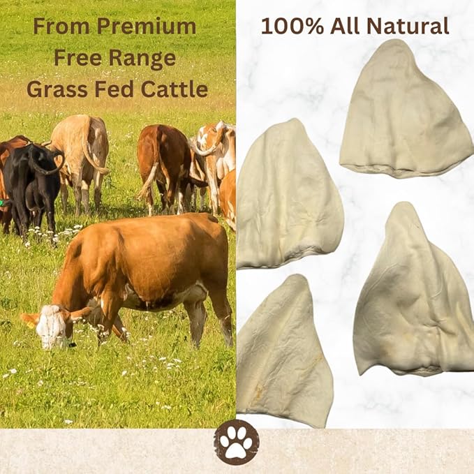 Top Dog Chews - Full Size, Thick Cut, Cow Ears Dog Treats, 100% All Natural, Rich in Protein and Flavor, Healthy & Delicious Chews, Rawhide Alternative (Pack of 30)
